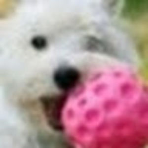 Meet your Posher, Carolyn